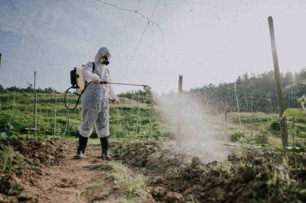 Best Pest Prevention Services  in Brookneal, VA