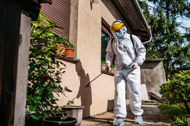 Best Wasp Removal Services  in Brookneal, VA