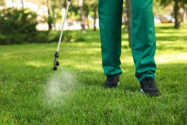 Best Residential Pest Control  in Brookneal, VA