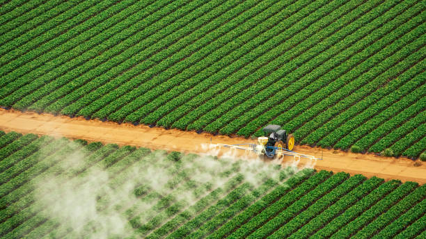 Best Commercial Pest Control Services  in Brookneal, VA