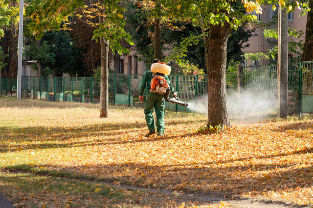  Brookneal, VA Pest Control Pros