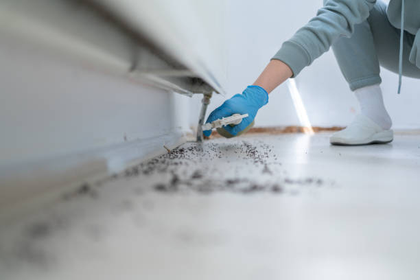 Best Rat Extermination Near Me  in Brookneal, VA